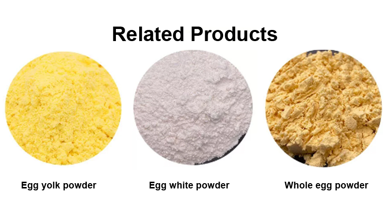 Pó de gema de ovo suplemento nutricional de alta qualidade fabricante de corante alimentar amarelo preço