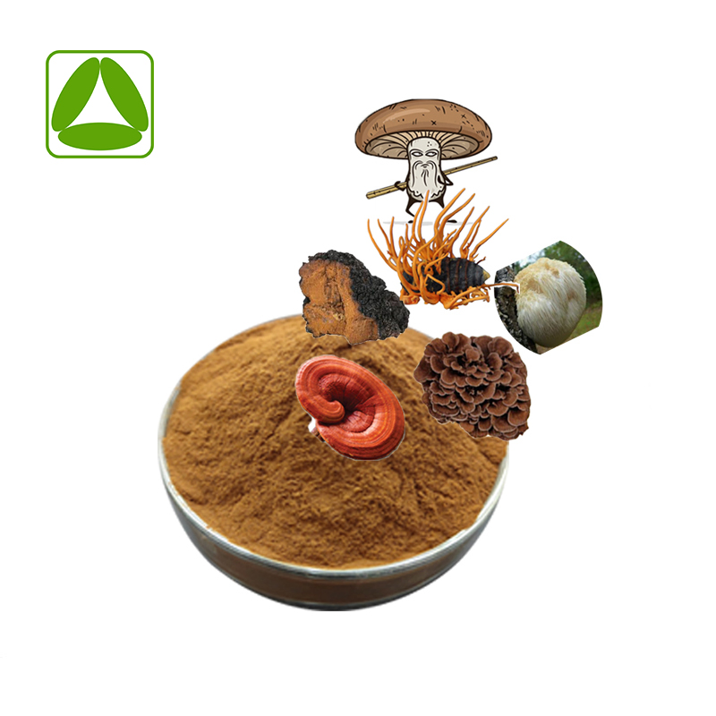 6 em 1 Mistura de Pó de Extrato de Cogumelo Lion's Mane, Reishi, Cordyceps, Chaga, Shiitake, Maitake Extract
