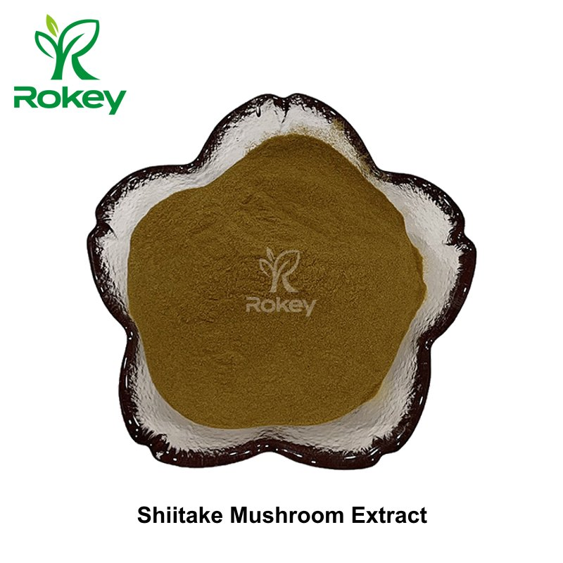 Pó Premium de Suporte Imunológico e Bem-Estar Extrato de Cogumelo Shiitake