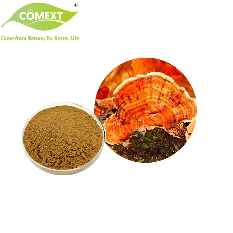 Comext ISO Halal Kosher Pó de Cogumelo Extrato de Cauda de Peru para Produto de Saúde