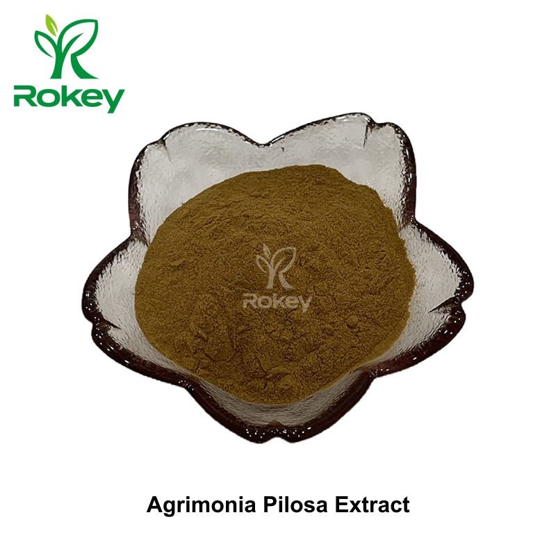 Pó Herbal Premium para Suporte ao Bem-Estar Extrato de Agrimonia Pilosa