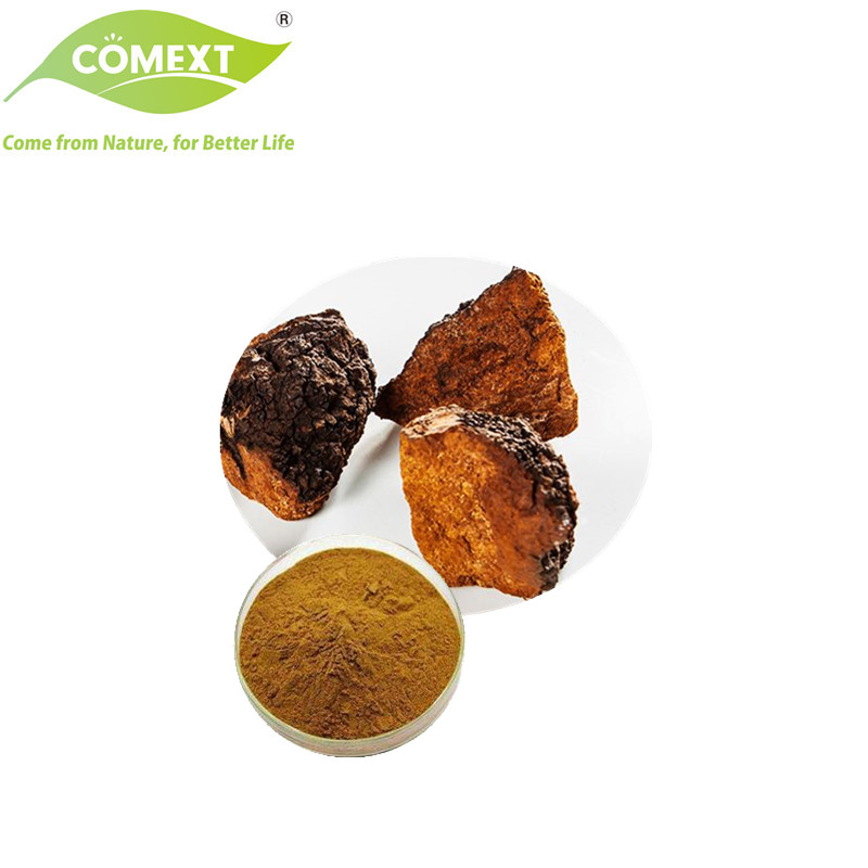 Produto de Saúde da Fábrica Comext para Antioxidante Usado em Extrato de Cogumelo Farmacêutico