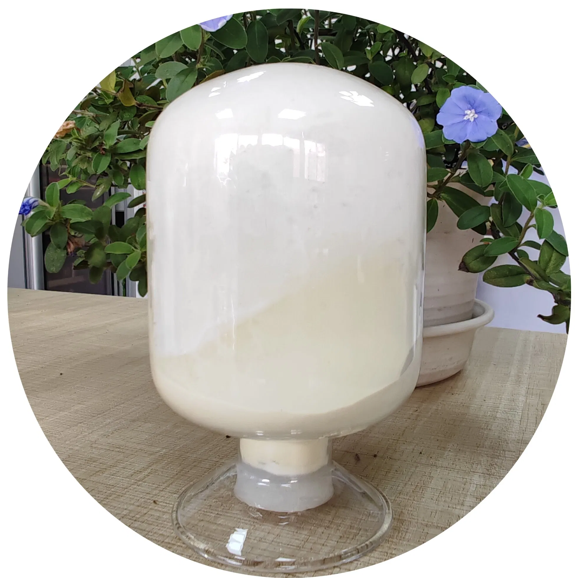 Pó de Óleo de Coco Premium com Vitaminas Essenciais para Bebidas