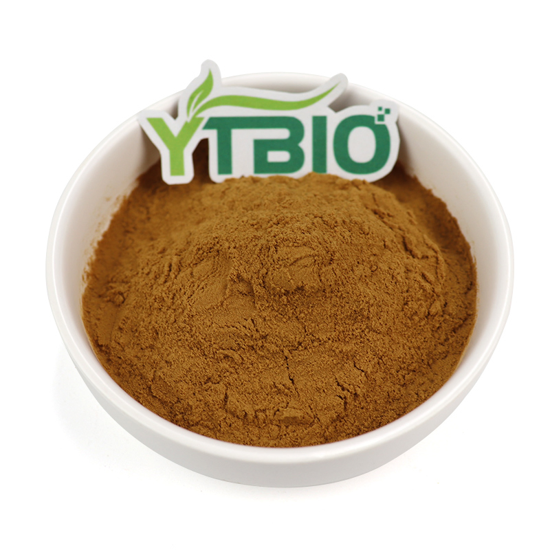 Preço de Fábrica Extrato Herbal Natural A Granel Extrato de Ajuga Turkestanica Pó de Turkesterona