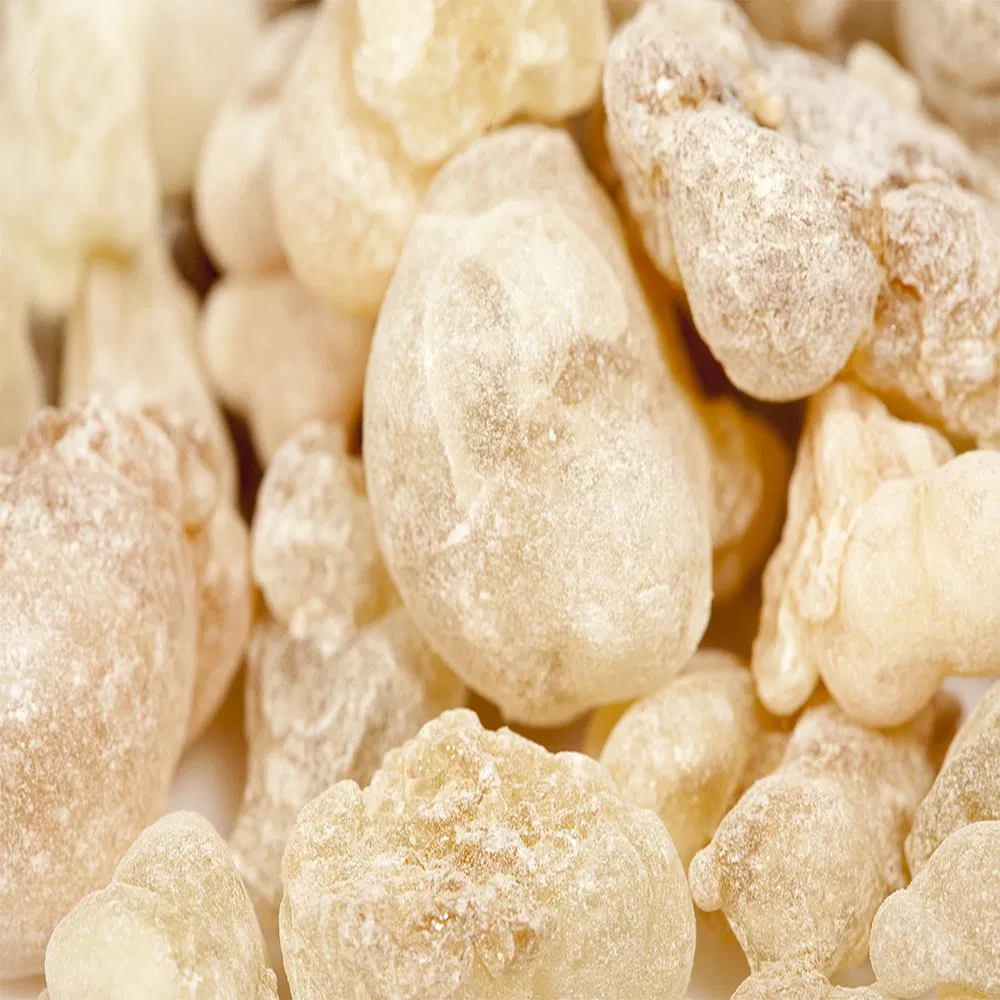 Fornecimento de Fábrica por Atacado de Alta Qualidade Extrato Herbal Pó de Extrato de Boswellia Orgânico