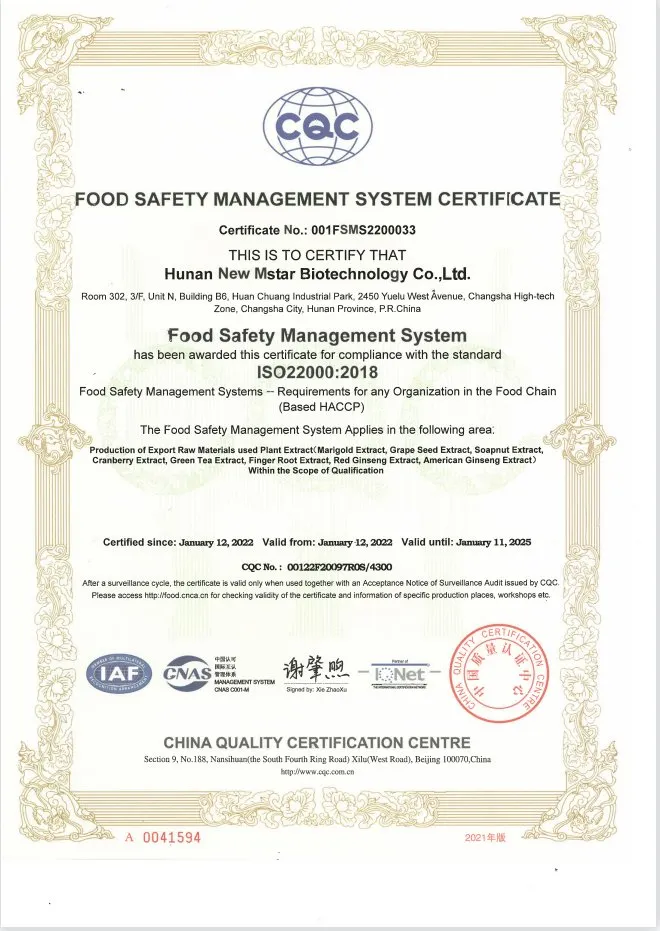 Certificado 3