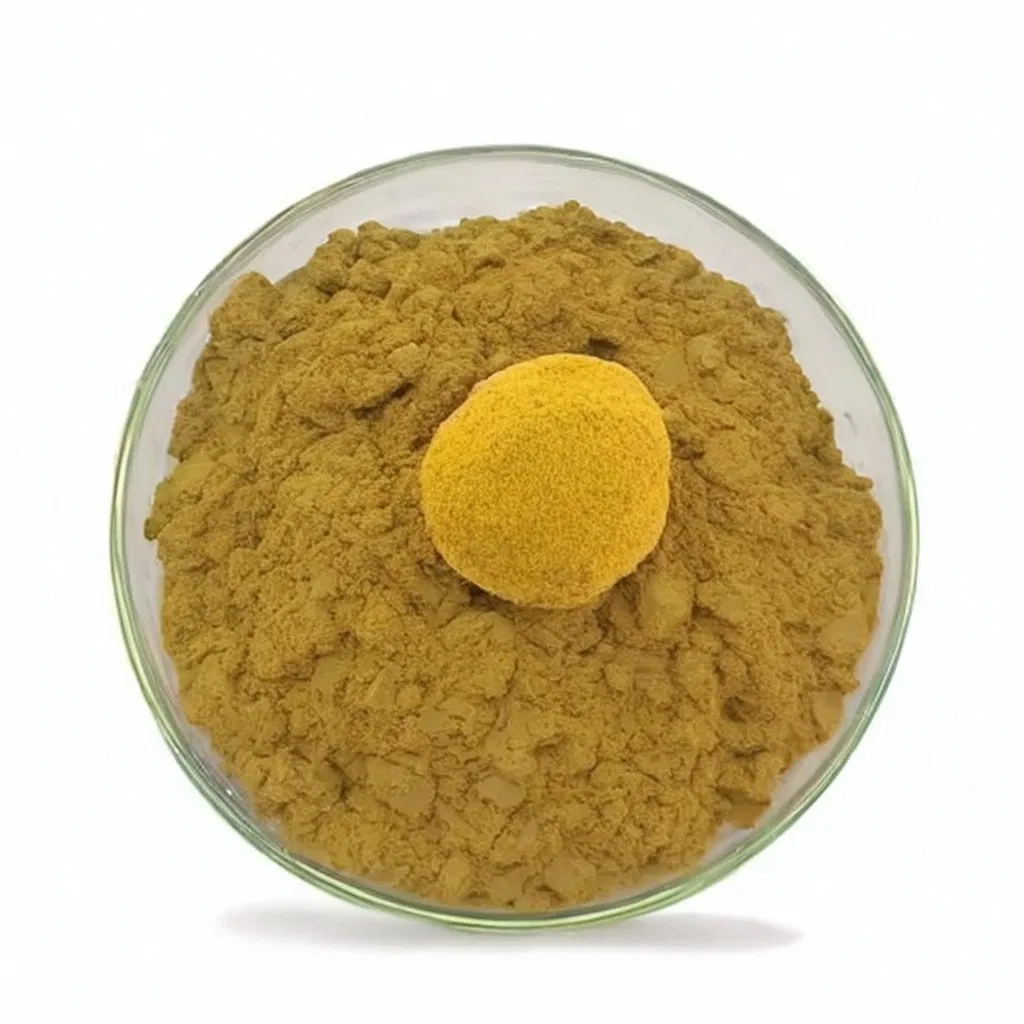 Extrato Premium de Cogumelo Lion's Mane (Hericium erinaceus) -10: 1 Extrato de Cogumelo Concentrado