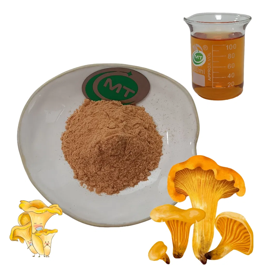 Extrato de Cogumelo Cantharellus Cibarius (Chanterelle) Natural Puro para Cuidados com a Pele Anti-Idade