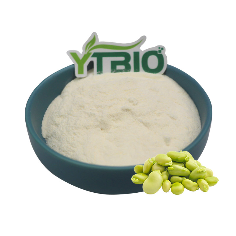 Pó de Proteína de Fava de Alta Pureza 80% Proteína, Não OGM, À Base de Plantas, Livre de Alérgenos