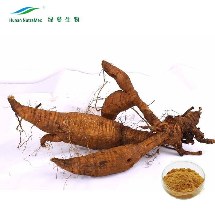 Erva Natural 50%~98% Pó de Puerarina Extrato de Raiz de Kudzu