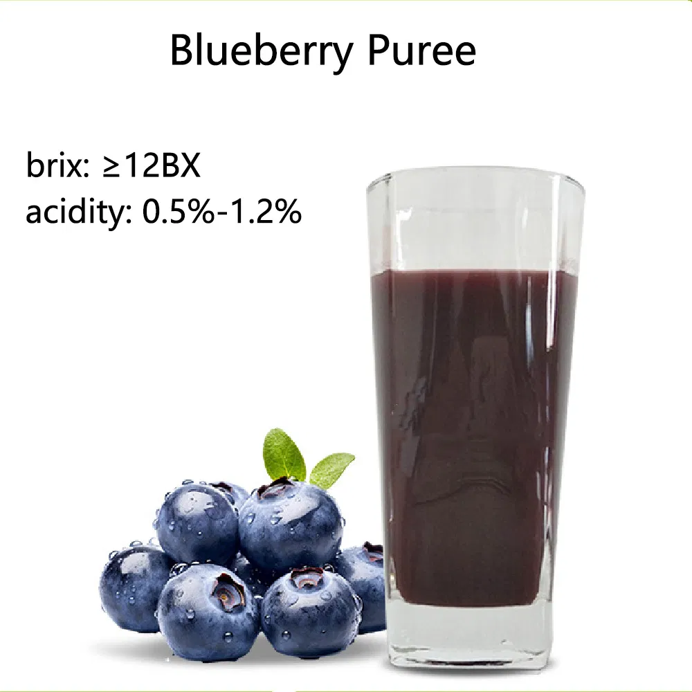 Suco Concentrado de Frutas e Vegetais Suco Concentrado de Mirtilo Purê de Mirtilo Suco de Frutas Berries