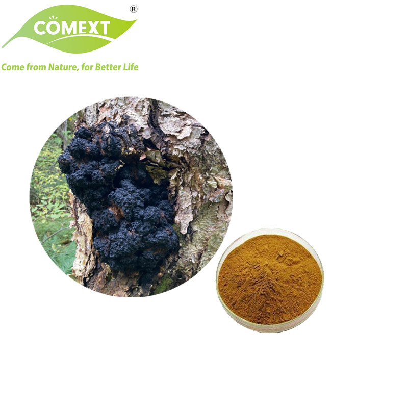 Produto de Saúde da Fábrica Comext para Antioxidante Usado em Extrato de Cogumelo Farmacêutico