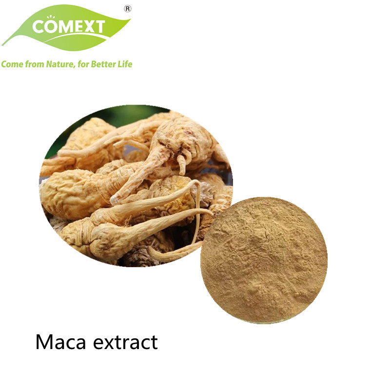 Suplemento de Saúde Comext 100% Suplemento de Saúde Puro Halal Kosher Extrato Herbal Pó de Raiz de Maca Convencional com o Melhor Preço