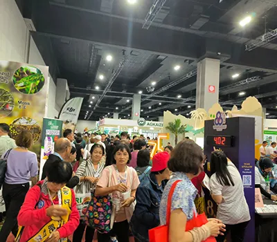 Exposição 3