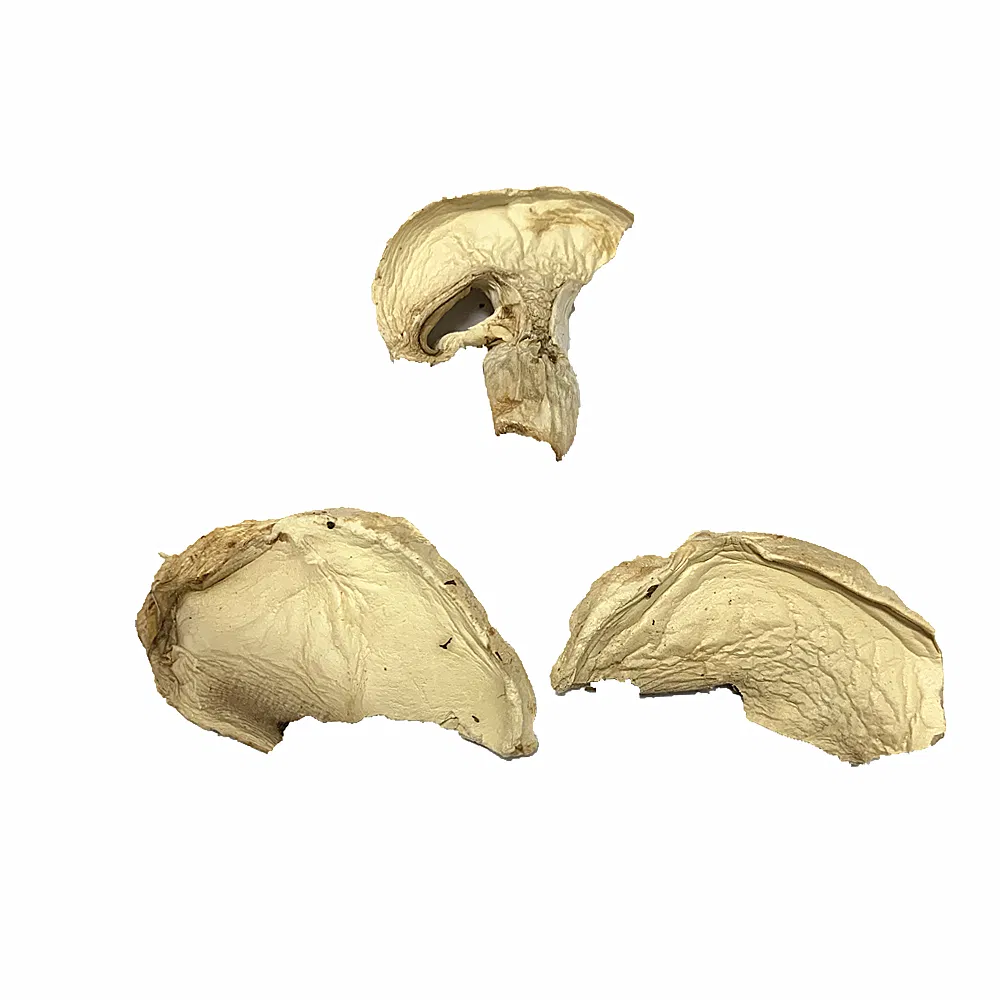 Vegetais desidratados em flocos de cogumelo botão sem aditivos por atacado