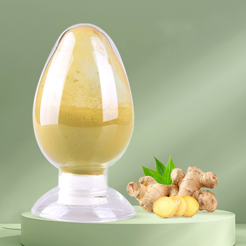 Pó de Extrato de Raiz de Gengibre de Alta Qualidade Gingerol para Cápsulas Alimentícias e Medicinais