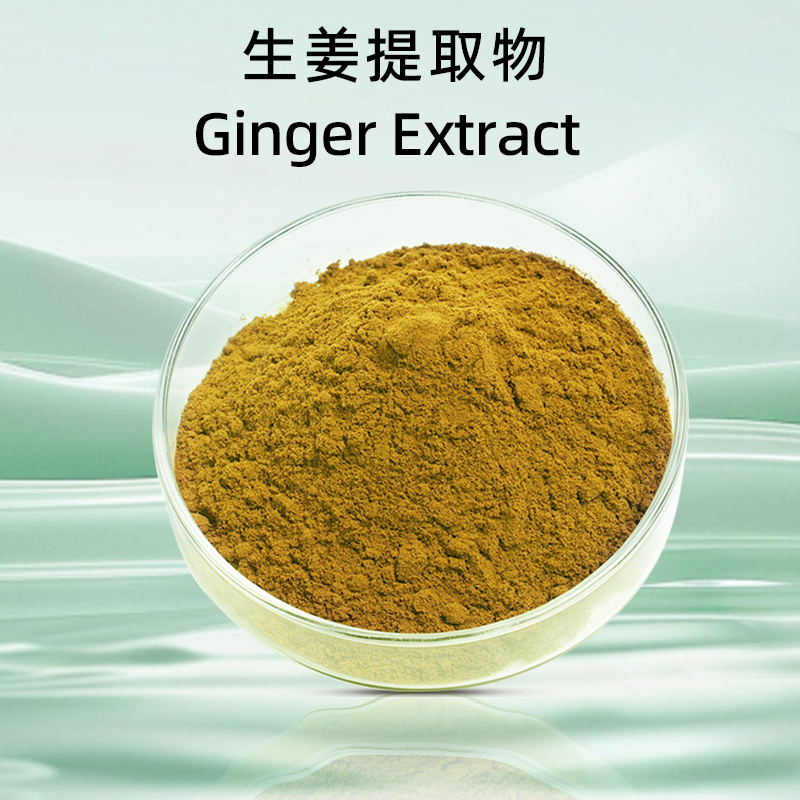 Pó de Extrato de Raiz de Gengibre Zingiber Officinale Alta Qualidade de Gingerol