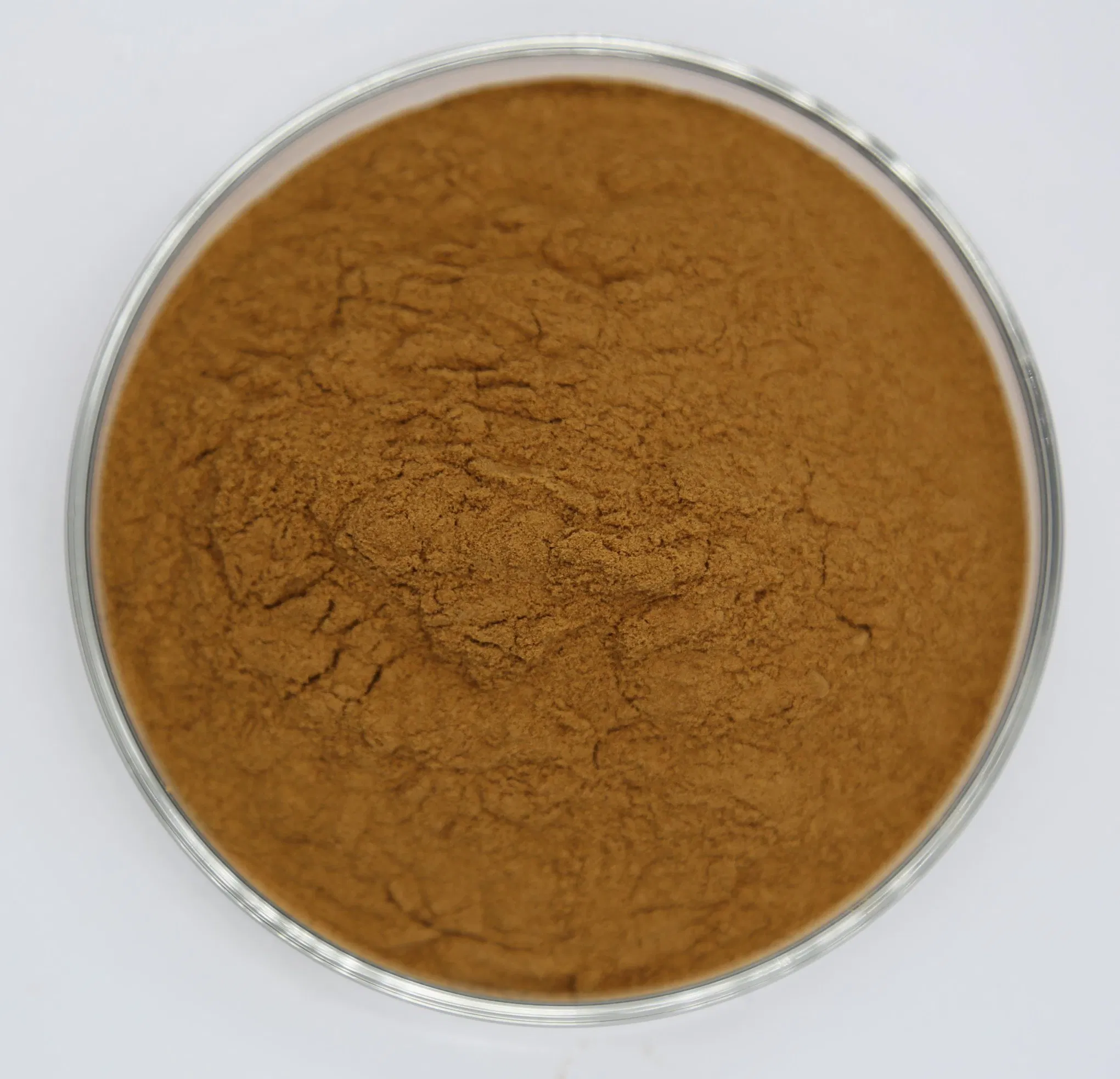 Pó de Extrato de Flor de Álamo Antibacteriano Auxiliar de Medicina Herbal Natural Pura Chinesa