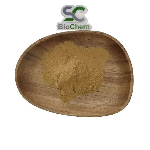 Extrato de Cogumelo Reishi 30% Pó de Cogumelo Polissacarídeo Extrato de Ganoderma Lucidum