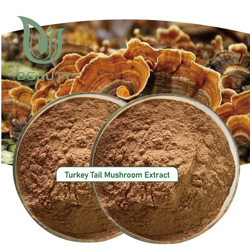 Turkey Tail Powder