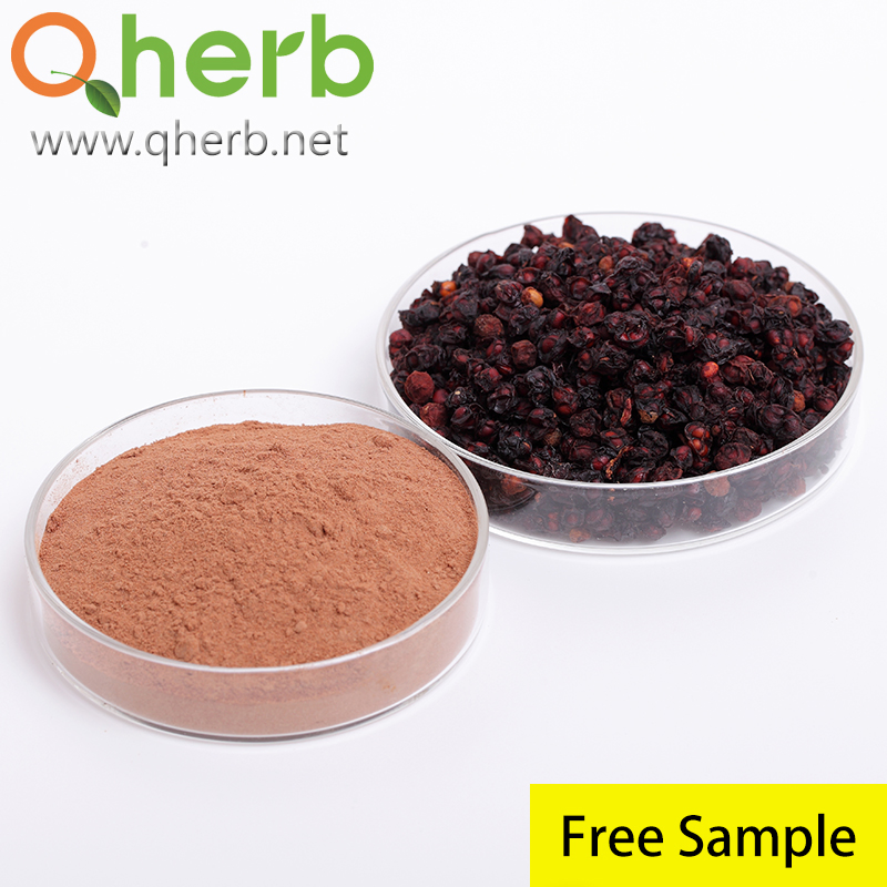 Pó de Extrato de Fruto de Baga de Schizandra Herbal Schisandra Chinensis 2%~9% Schizandrinas HPLC