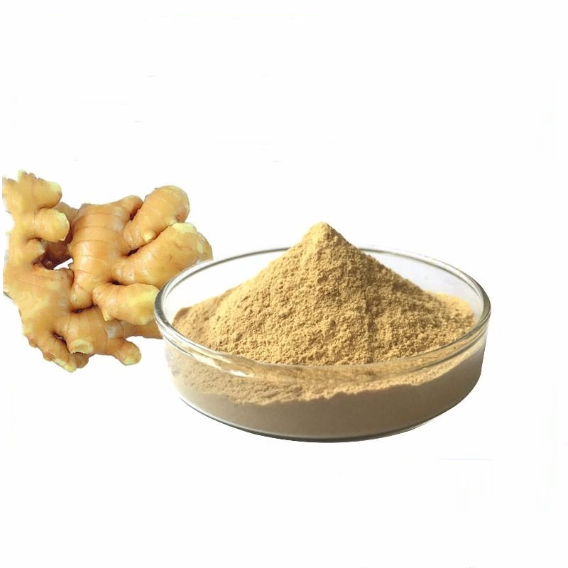 Pó de Extrato de Raiz de Gengibre de Alta Qualidade Gingerol para Cápsulas Alimentícias e Medicinais