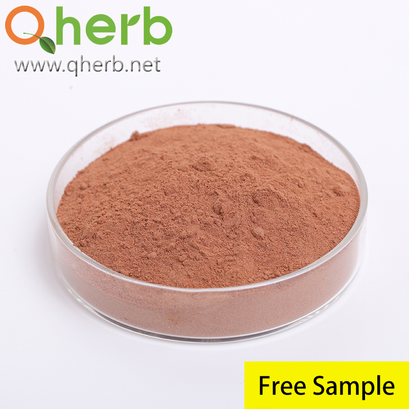 Pó de Extrato de Fruto de Baga de Schizandra Herbal Schisandra Chinensis 2%~9% Schizandrinas HPLC