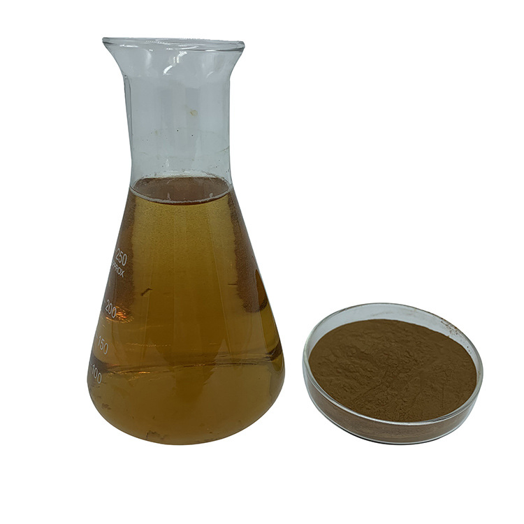 Fabricante Fornece Extrato de Cogumelo de Alta Qualidade para Ingredientes de Saúde