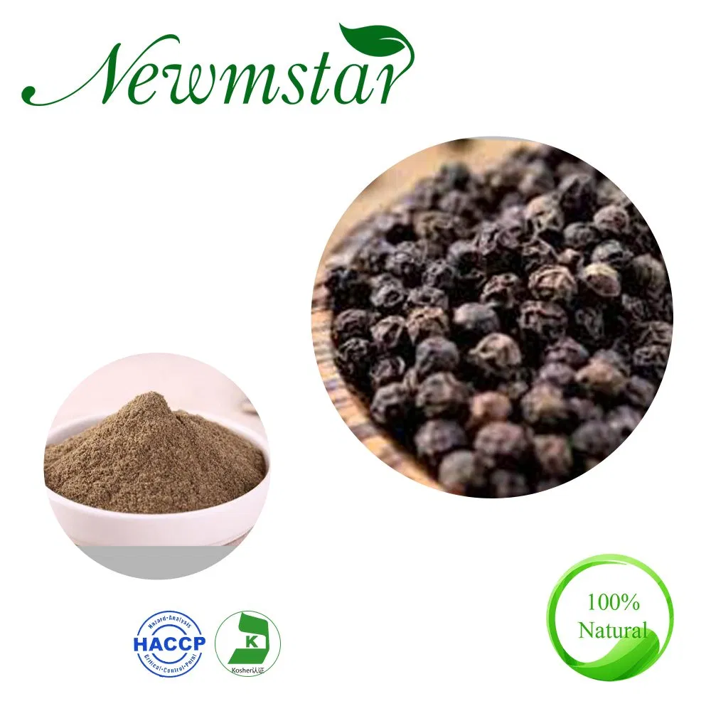 Especiarias Chinesas Certificadas Halal HACCP 1%-95%Piperine Extrato de Pimenta Preta