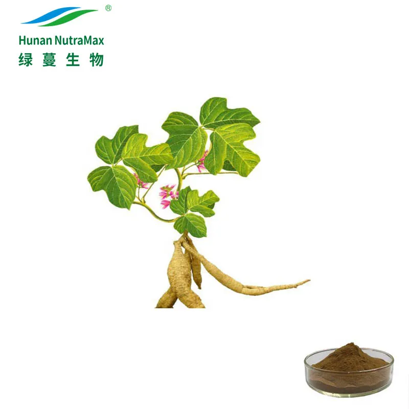 Extrato de Raiz de Kudzu