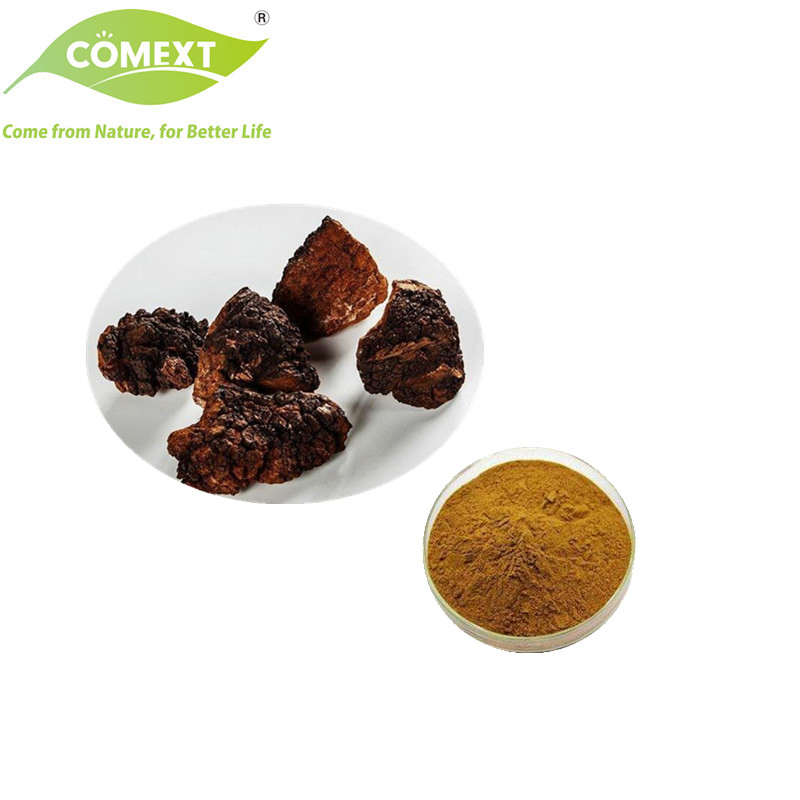 Produto de Saúde da Fábrica Comext para Antioxidante Usado em Extrato de Cogumelo Farmacêutico