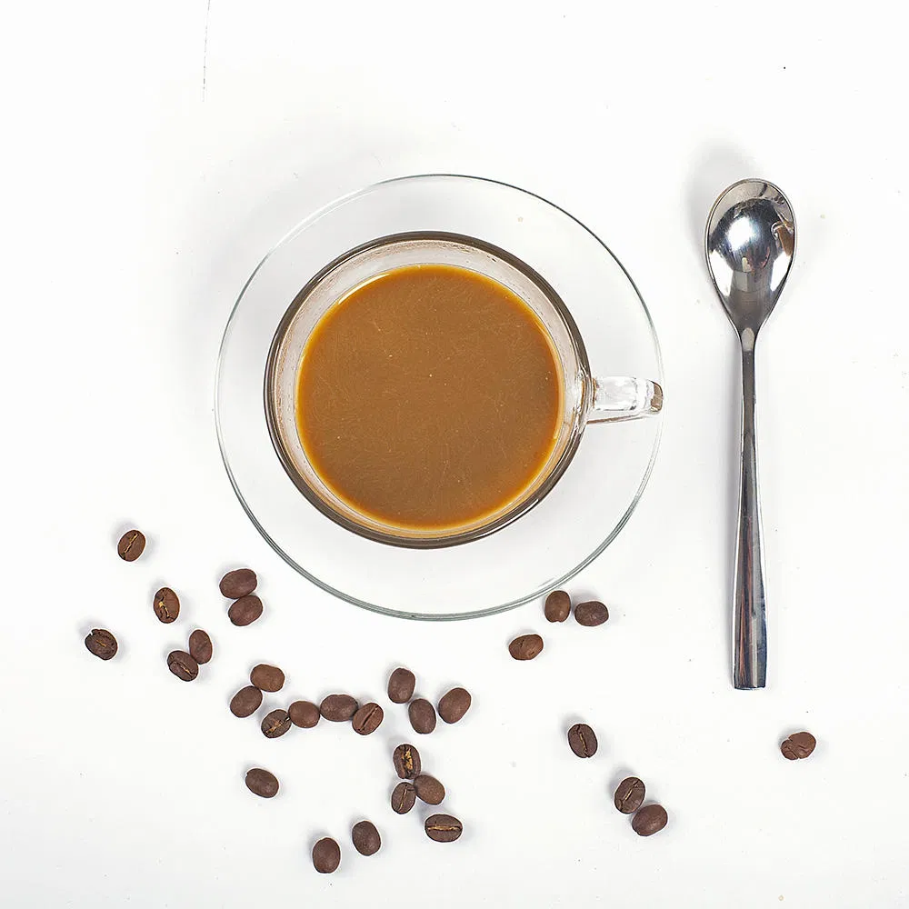 Pó de café instantâneo mocha liofilizado em grande quantidade extrato de ganoderma lucidum seco por spray