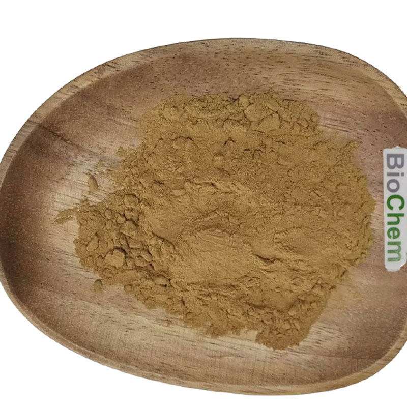 Extrato de Cogumelo Reishi 30% Pó de Cogumelo Polissacarídeo Extrato de Ganoderma Lucidum