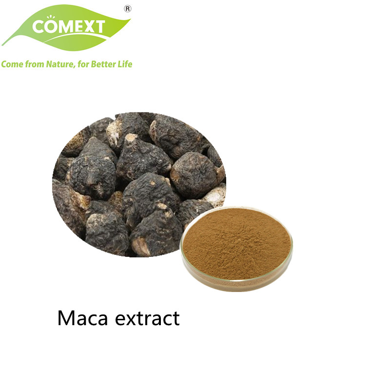 Suplemento de Saúde Comext 100% Suplemento de Saúde Puro Halal Kosher Extrato Herbal Pó de Raiz de Maca Convencional com o Melhor Preço