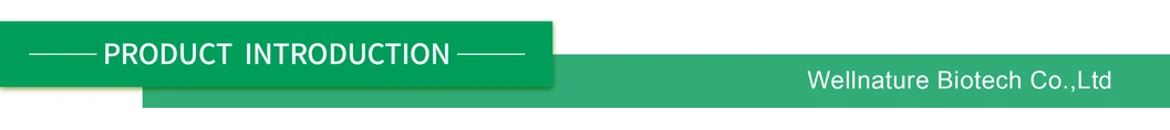 Banner Informativo