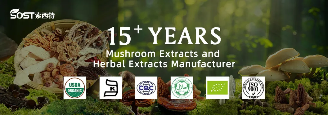 15+Years Fabricante Fornece Extratos de Cogumelos