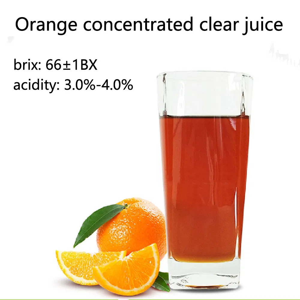 Suco Concentrado de Laranja Purê de Laranja Concentrado de Suco de Kumquat Bebida