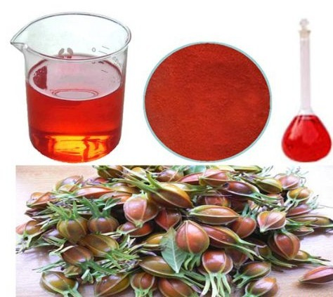 Pó de extrato de gardenia amarela corante alimentar