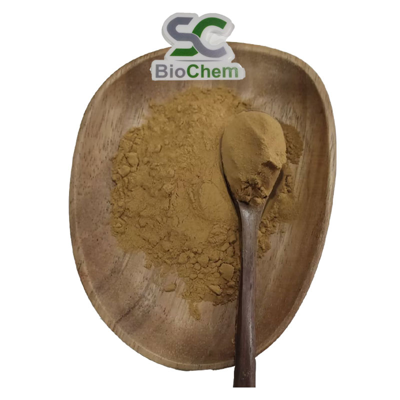 Extrato de Cogumelo Reishi 30% Pó de Cogumelo Polissacarídeo Extrato de Ganoderma Lucidum