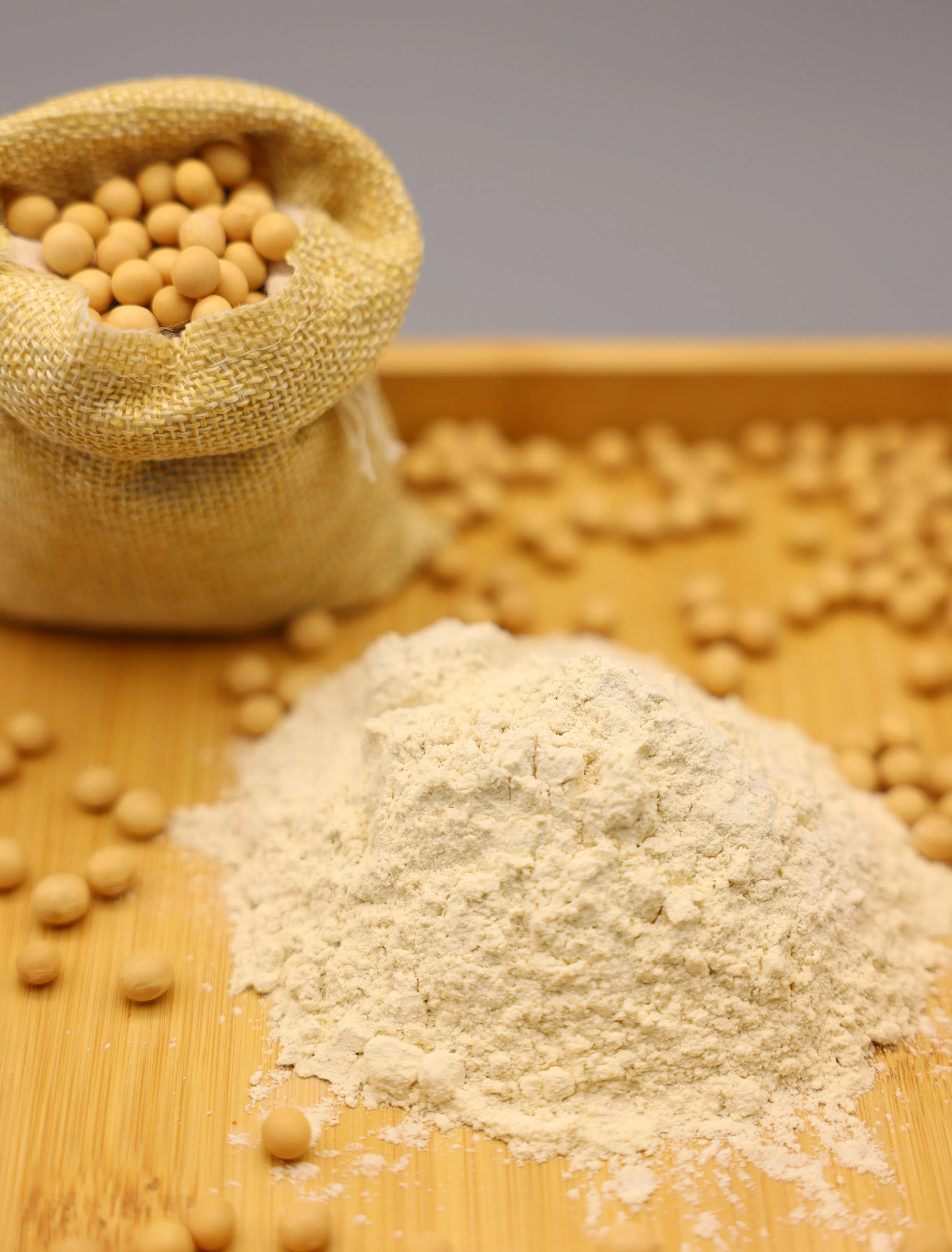 Proteína Isolada de Soja