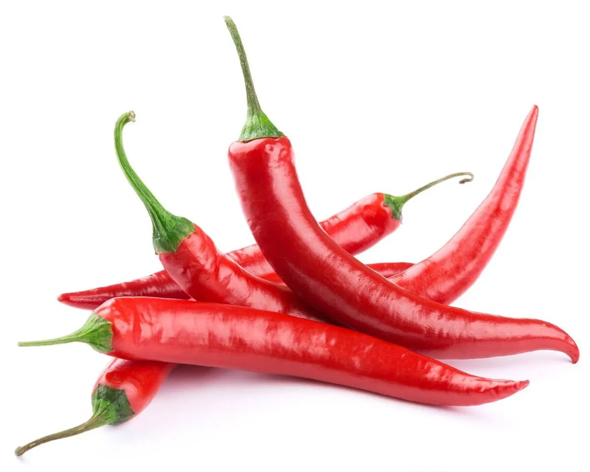 Oleoresina de Capsicum Padronizada para Suplementos Dietéticos e Formulações Tópicas (Conteúdo de Capsaicina)
