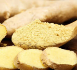 Pó de Extrato de Raiz de Gengibre - Gengibre Seco Natural para Alimentos e Saúde