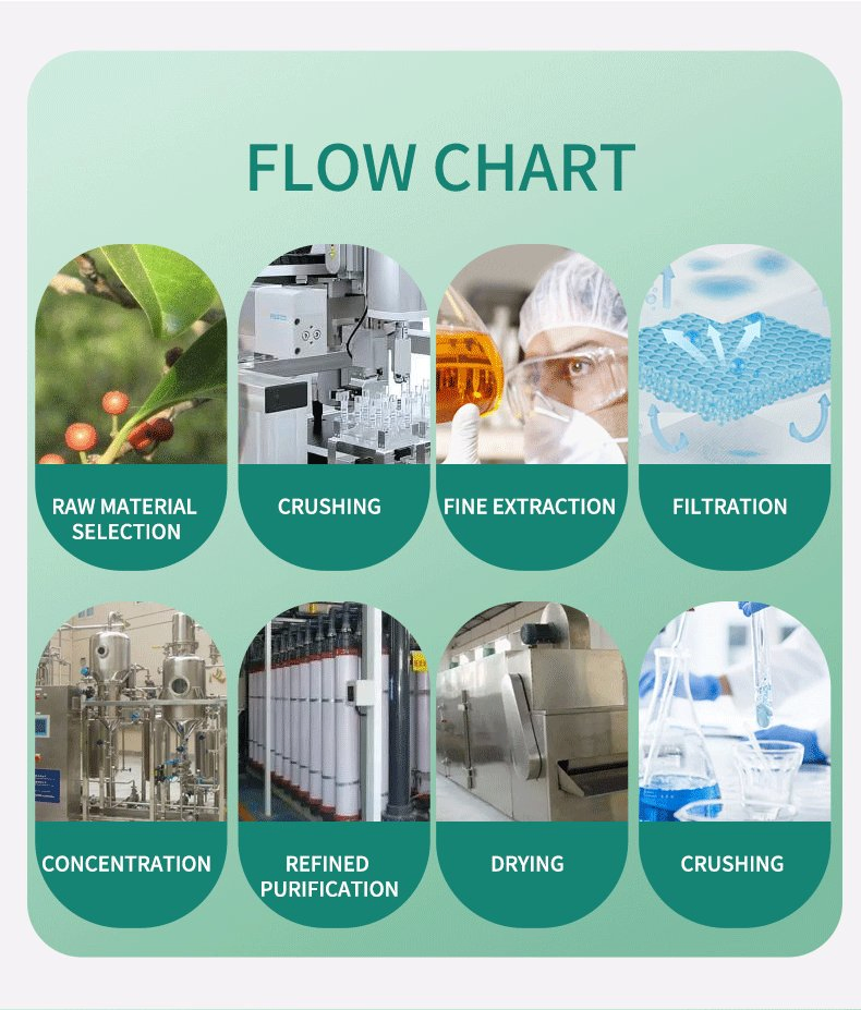 Extrato de Planta Erva Suplemento de Berberina HCl Ingrediente 97% 98% Pó de Cloridrato de Berberina