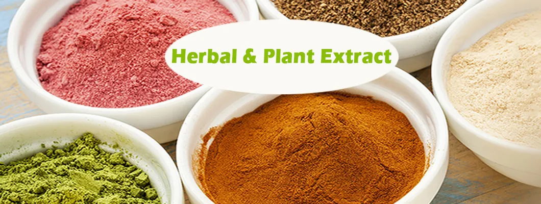 Saw Palmetto Extract