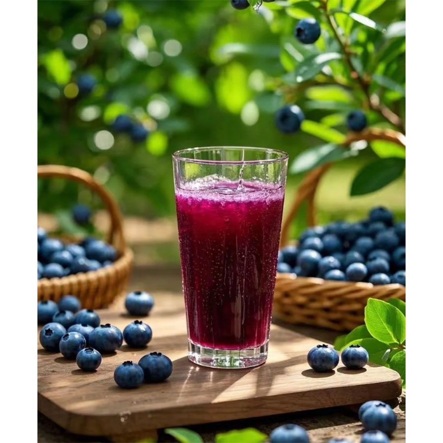 Suco concentrado puro de mirtilo colhido fresco e sem açúcar em grande quantidade