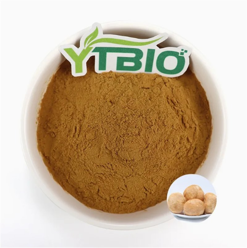 Fabricação de Extrato de Hericium Erinaceus 30% Polissacarídeos Pó de Extrato de Cogumelo Lion's Mane