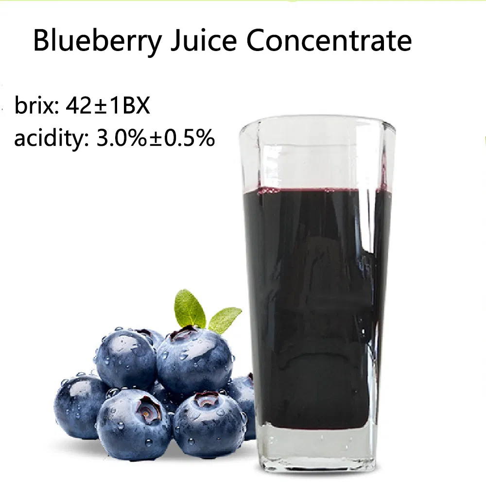 Suco Concentrado de Frutas e Vegetais Suco Concentrado de Mirtilo Purê de Mirtilo Suco de Frutas Berries