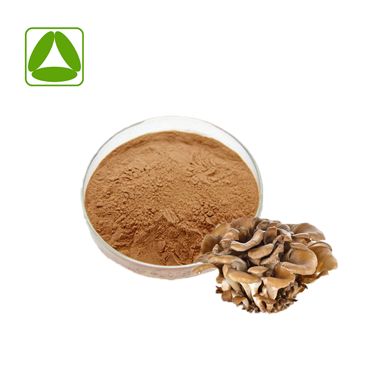 Suplemento Dietético Polissacarídeos de Maitake Extrato de Cogumelo Maitake