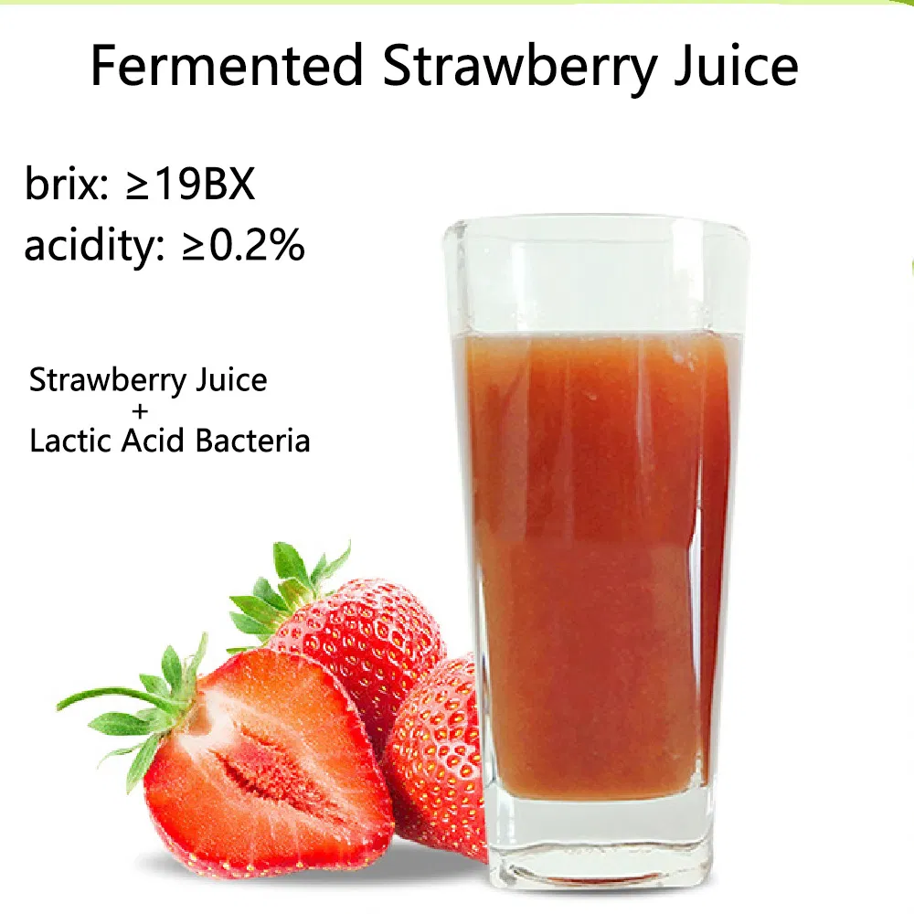 Vendas Quentes Suco Concentrado de Morango Purê de Morango Suco de Morango Concentrado de Fruta