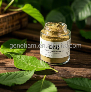 Pó de Extrato Herbal Dnj de Grau Alimentício Premium para Benefícios Antivirais